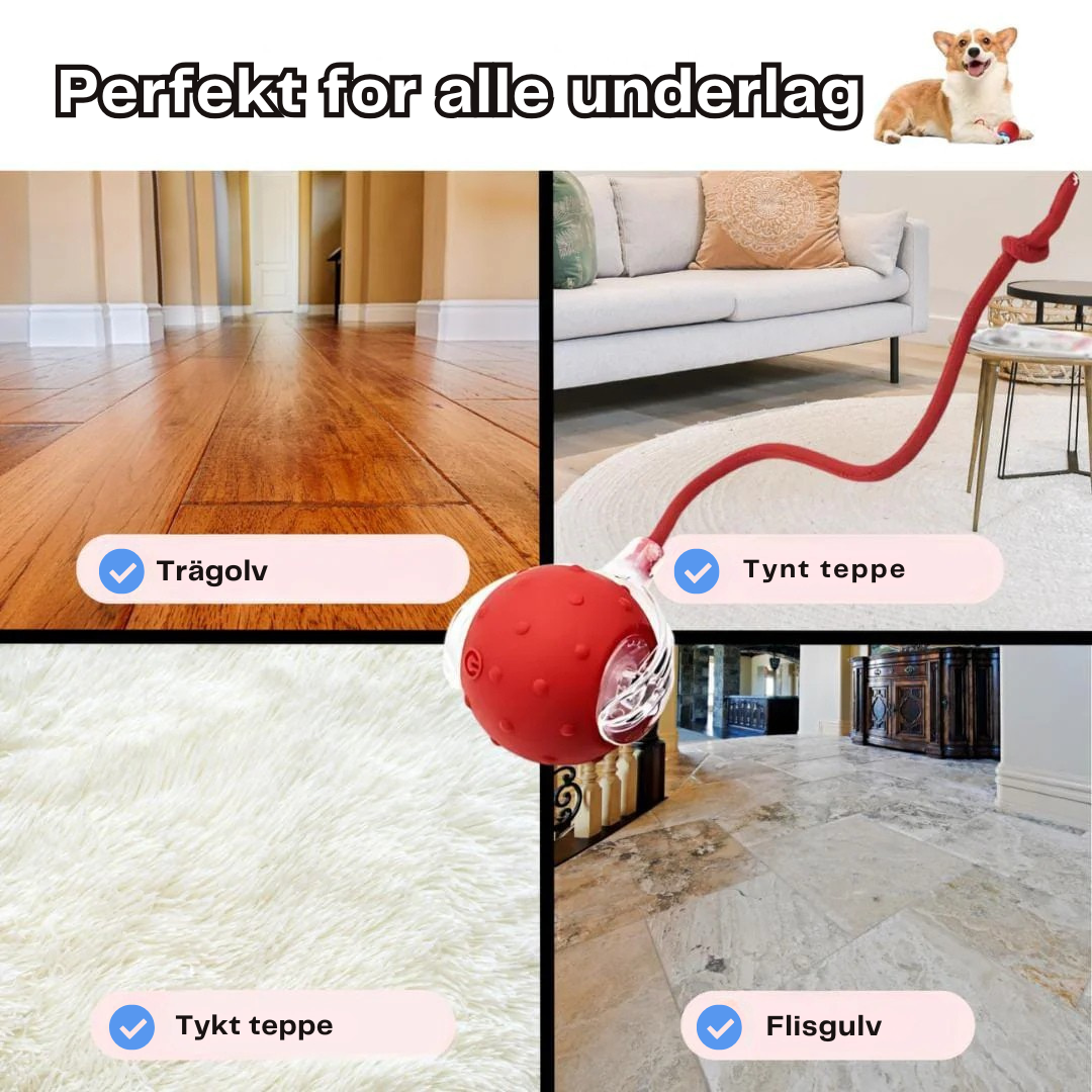 HappyPaws™ - CrazyChase Pro