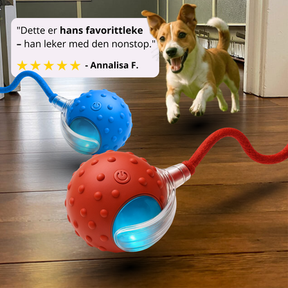 HappyPaws™ - CrazyChase Pro