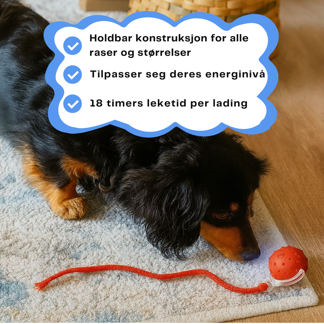 HappyPaws™ - CrazyChase Pro