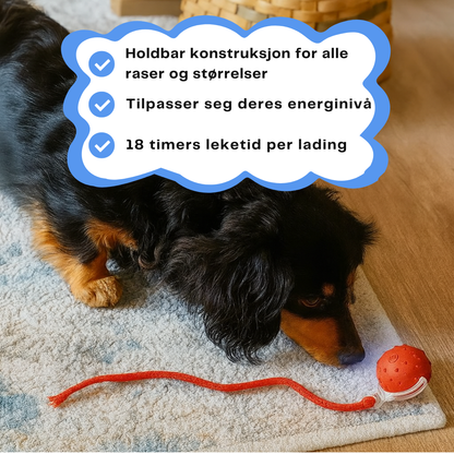 HappyPaws™ - CrazyChase Pro