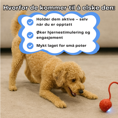 HappyPaws™ - CrazyChase Pro