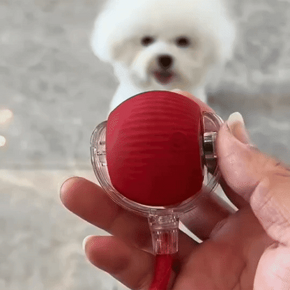 HappyPaws™ - CrazyChase Pro